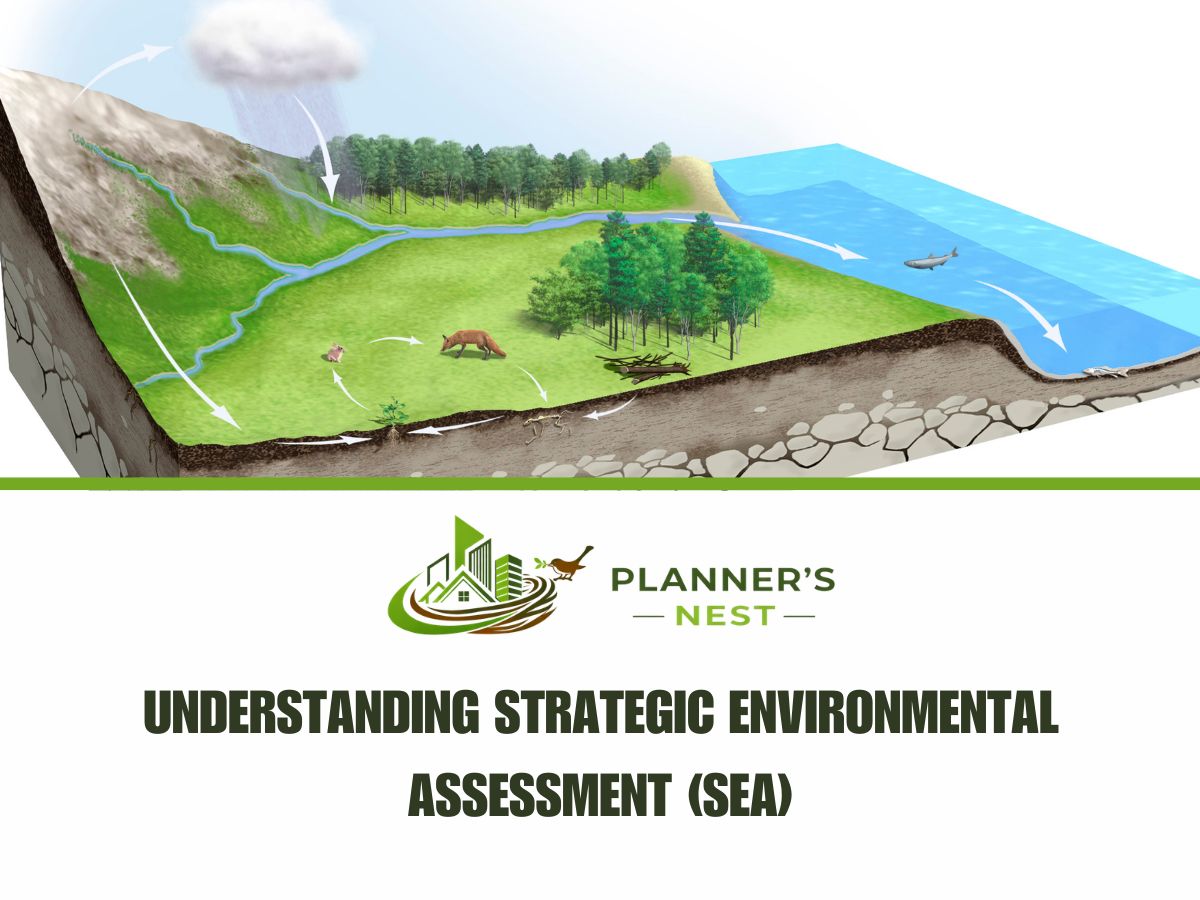 Understanding Strategic Environmental Assessment (SEA)